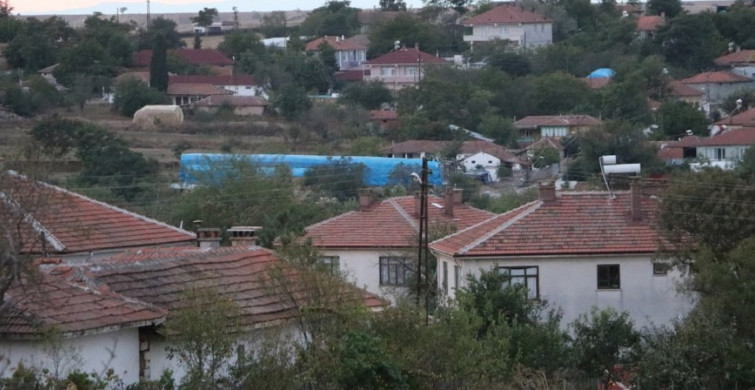 Edirne'de Kırmızı Alarm! 'Mavi Dil' Hastalığı Yüzünden 8 Köyde Karantina Başladı
