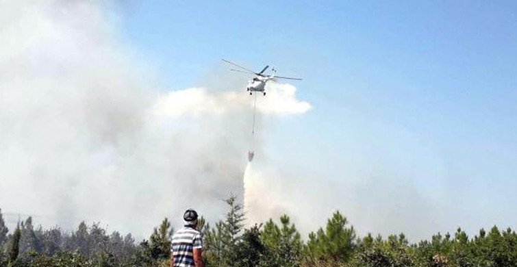 Edirne'de Ormanlık Alanda Korkutan Yangın Meydana Geldi!