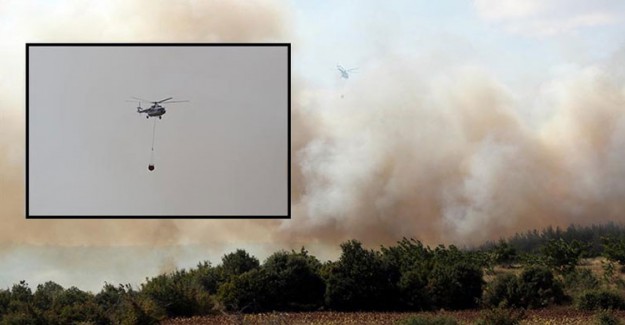 Edirne'nin Keşan İlçesinde Orman Yangını Çıktı