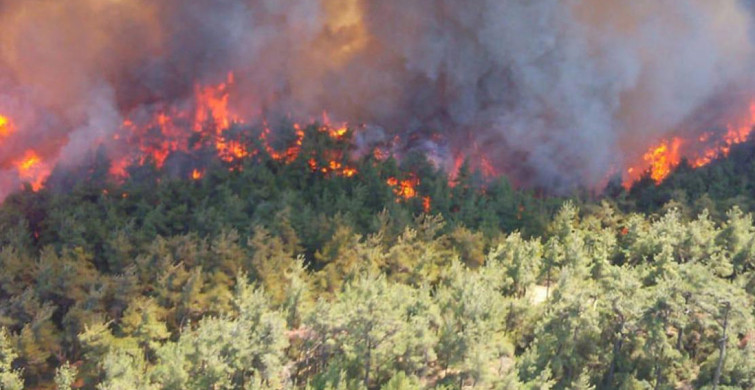 Ekipler harekete geçti: Antalya’da orman yangını