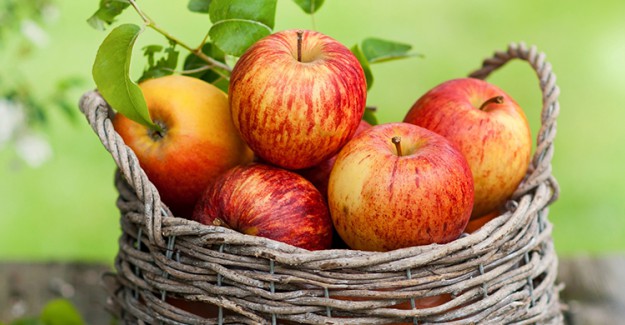 Elmanın Faydası Neresinde? Elma Yerken Dikkat Etmeniz Gerekenler