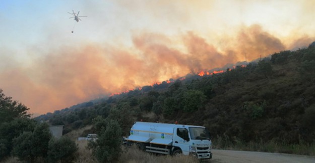 Erdek'te Ormanlık Alanda Yangın