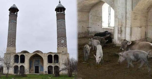 Ermeniler 150 Yıllık Camiyi Ahıra Çevirmişti!