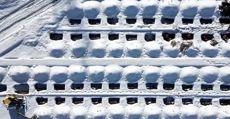 Erzurum'da 500 kişilik mezar kazıldı