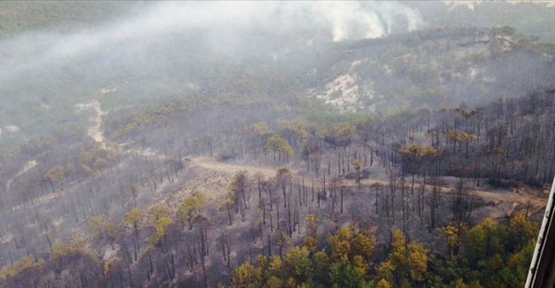 Eskişehir'deki Orman Yangını Kontrol Altına Alındı
