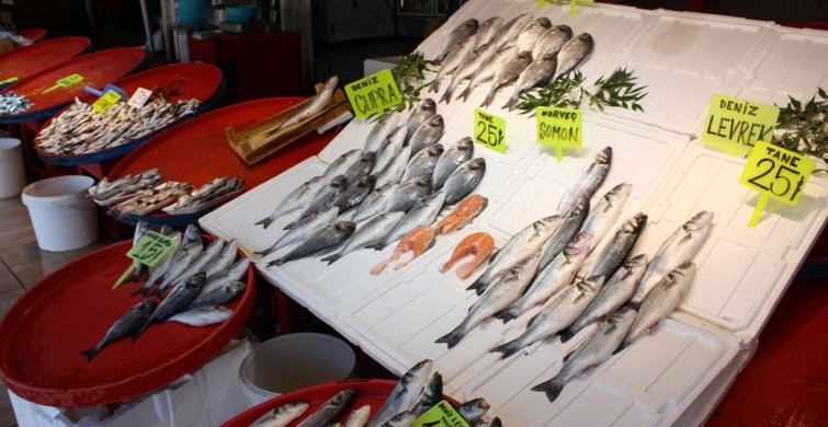 Esnaf Anlattı: Müsilaj Balık Satışlarını Nasıl Etkiledi?