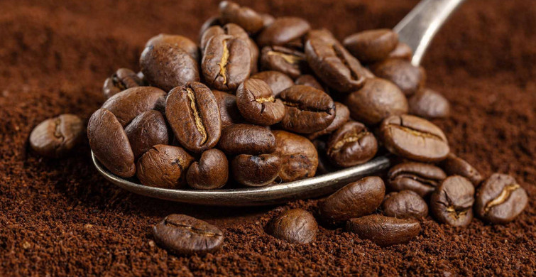 Etiyopya’dan sevindiren haber! 2 milyar kahve dikilecek