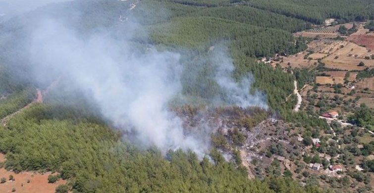 Fethiye'de Çıkan Orman Yangınına Müdahale Edildi