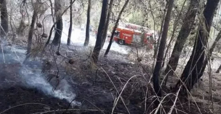 Fethiye'de orman yangını! Ekipler olay yerine intikal etti