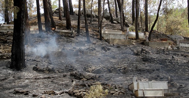 Fethiye’ye Sıçrayan Orman Yangını Söndürüldü