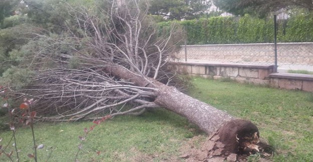 Fırtınalı Hava Nevşehir'de Hayatı Olumsuz Etkiledi