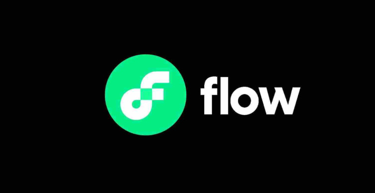 FLOW coin nedir? FLOW coin projesi ve yol haritası