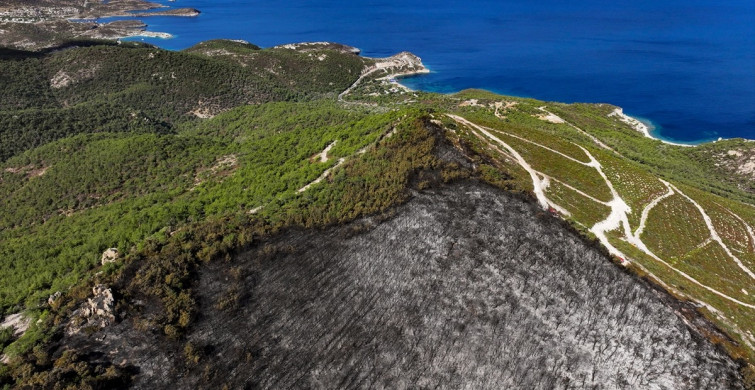 Foça'daki Yangının Ardından Hava Görüntüleri Yayınlandı