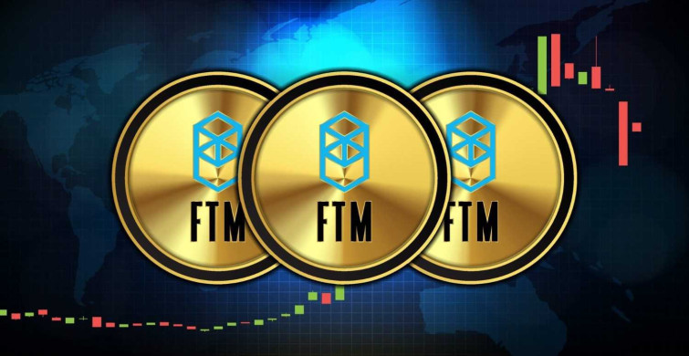 FTM coin neden düşüyor, düşer mi? Fantom FTM coin yorumları