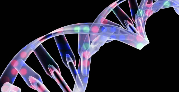Genetik ve Biyomühendislik DGS 2022 taban puanları ve bölüm kontenjanları
