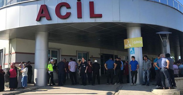 Giresun'da Yolcu Minibüsü Dereye Devrildi: 5 Kişi Öldü, 6 Kişi Yaralandı
