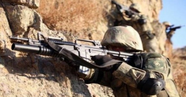 Gri Kategoriyle Aranan  Terör Örgütü PKK'nın Sözde Bölge Sorumlusu Öldürüldü