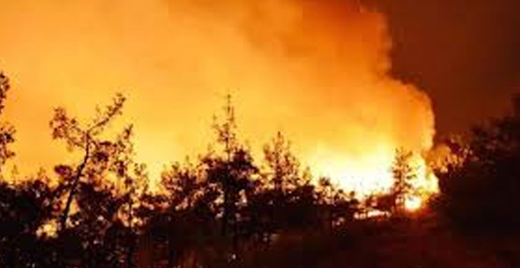 Gürcistan'da 234 Bölgede Yangın!