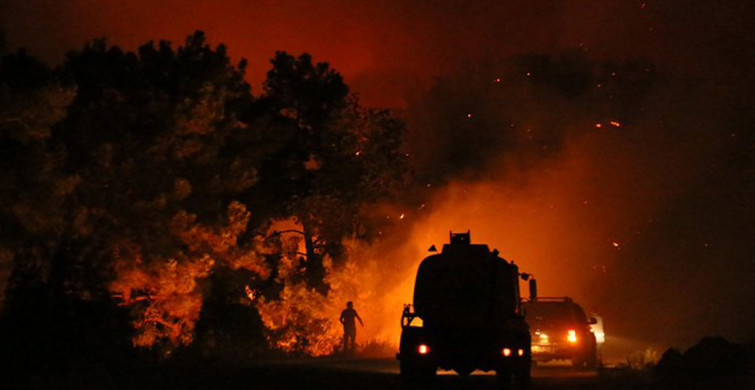 Orman Yangınlarını Araştırmak İçin Özel Ekip Kuruldu