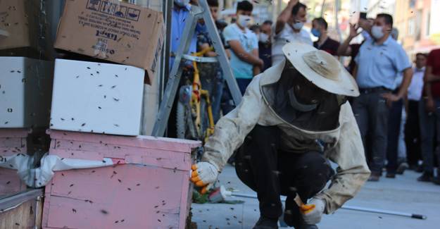Hakkari'yi Arılar Basınca Esnaflar İşletmeleri Kapattı