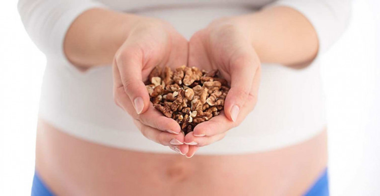 Hamilelikte ceviz tüketimi doğru mu? Vitamin ve mineral zenginliği ile bilenen cevizin bilinmeyen yararları! Hamilelikte ceviz tüketiminin yararları ve zararları