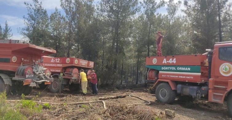 Hatay’da Çıkan Orman Yangınında 1 Hektarlık Alan Zarara Uğradı