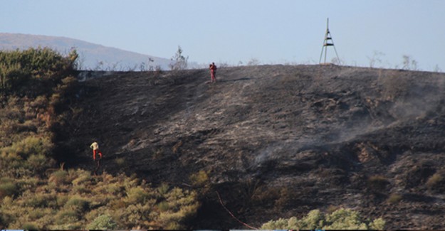 Hatay'da Çıkan Yangında 4 Hektarlık Alan Yandı