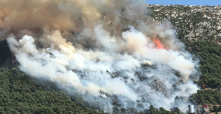 Hatay'da Yerleşim Yerlerine Yakın Bir Alanda Yangın