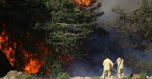 Hatay'daki Orman Yangınlarıyla İlgili 2 Kişi Tutuklandı