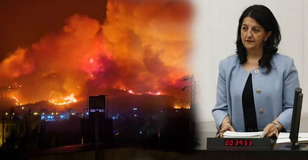 Hatay'daki Yangınlarla Alakalı HDP'de Dikkat Çeken Çıkış Geldi