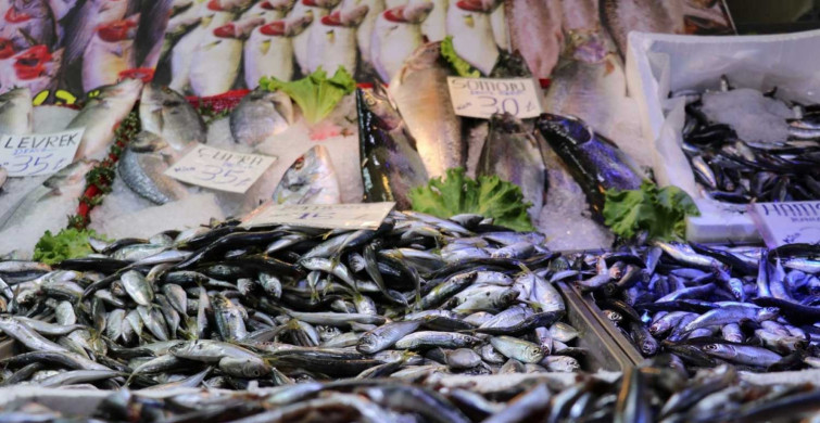 Havaların soğumasıyla balığa ilgi arttı: Fiyatlarda artış yaşandı