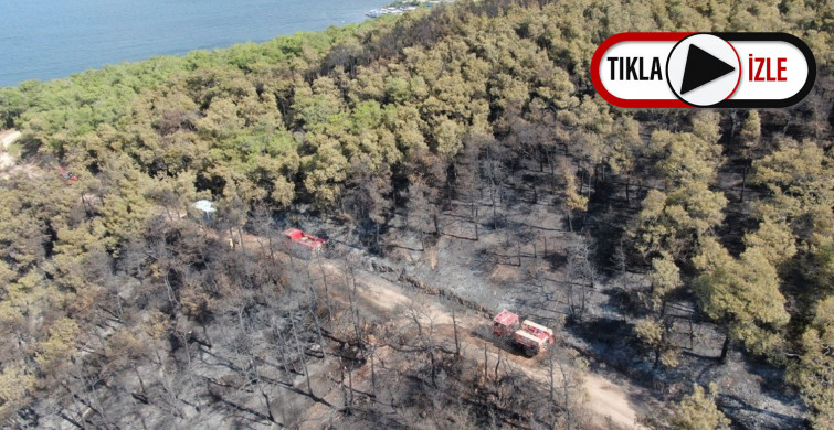 Heybeliada'nın Yangın Sonrası Havadan Görüntüleri Paylaşıldı