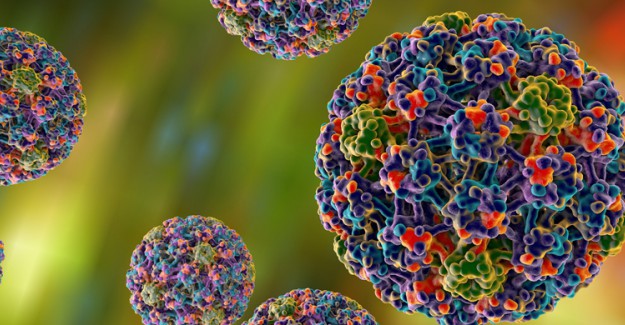 HPV Virüsü Nedir? Nasıl Tedavi Edilir?