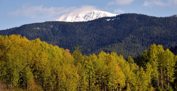 Ilgaz Dağı'nda Kış ve Sonbahar Aynı Anda Yaşanıyor