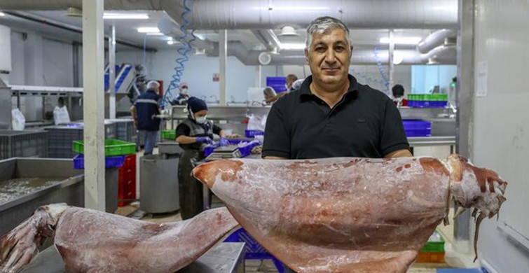 İlk Kez Görüldü: İzmir'de Balıkçıların Ağlarına Takıldı!