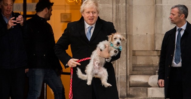 İngiltere Başbakanı Boris Johnson, Seçime Köpeğiyle Gitti