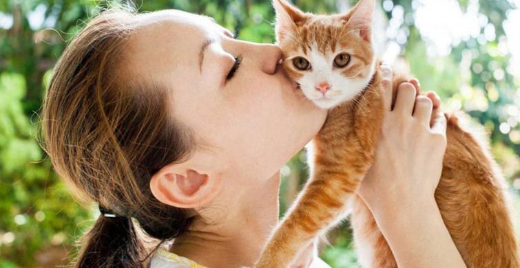 İnsan ve kedi dostluğunun sırrı çözüldü! Kediler neden bu kadar çok seviliyor?