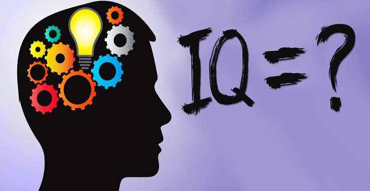 IQ Testi Nasıl Yapılır?