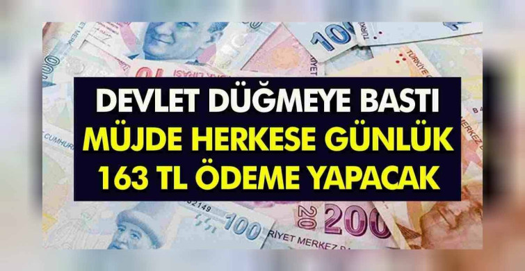 İŞKUR'dan binlerce işsize nakdi destek müjdesi! E-Devlet'ten başvurana günlük 163 TL ödeme yapılıyor