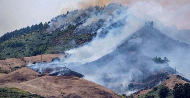 İspanya'daki Kanarya Adaları Yangınında 9 Bin Kişi Tahliye Edildi