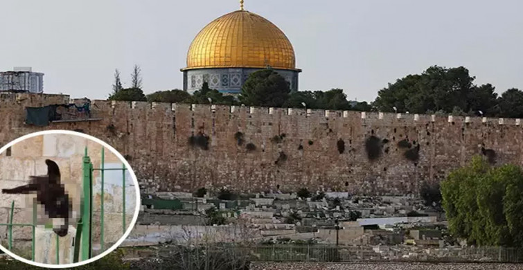 İsraillilerden Müslüman mezarlığına görülmemiş provakasyon! Ortalık karıştı