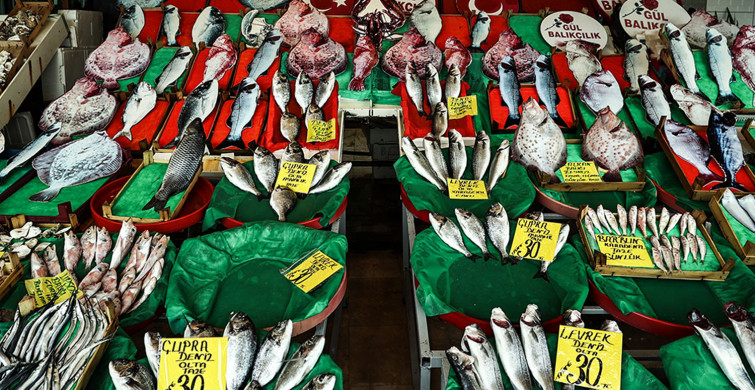 İstanbul’da Balık Sezonu Başladı: Tezgahlardaki Fiyatlar Vatandaşın Yüzünü Güldürecek