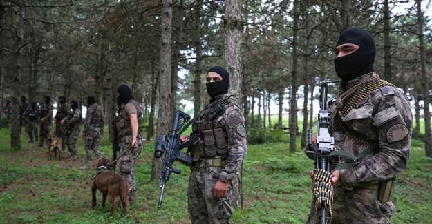 İstanbul'da 'Doğa Devriyesi' Başlıyor