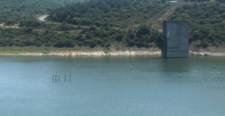 İstanbul'da Geçen Yıla Oranla Barajların Doluluk Oranı Yüzde 10 Arttı!