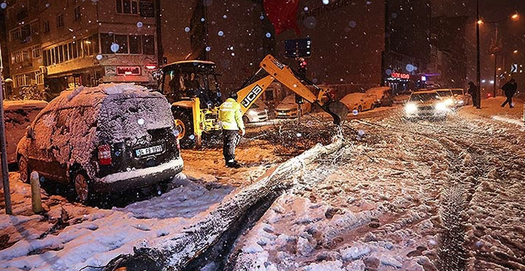 İstanbul'un 20 İlçesinde Kar ve Fırtına Ağaçları Devirdi