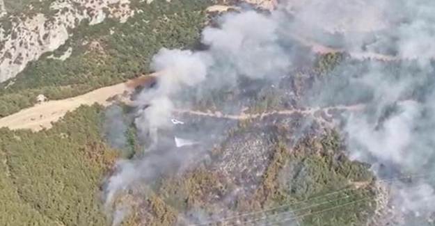 İzmir'de Ağaçlandırma Sahasında Yangın Çıktı