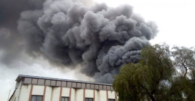 İzmir'de Çerez Fabrikasında Yangın Çıktı