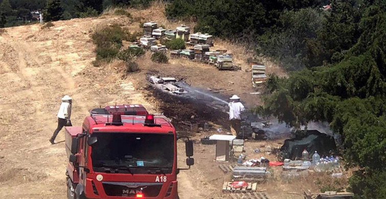 İzmir'de korkutan orman yangını: Ekipler seferber oldu