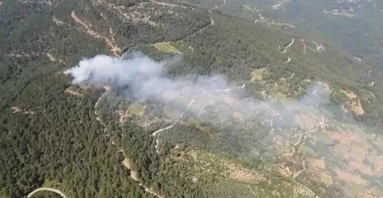İzmir'de korkutan orman yangını! Olay yerine çok sayıda personel sevk edildi