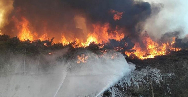 İzmir'de ormanlık alanda yangın! Çıkan yangın kontrol altına alınmaya çalışılıyor